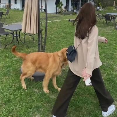 神勇女侠