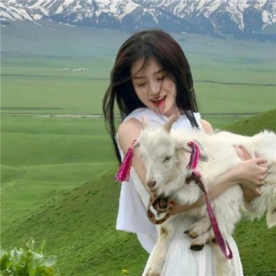 疯狂的兔子